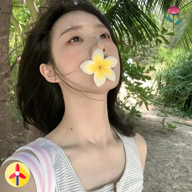 北岸